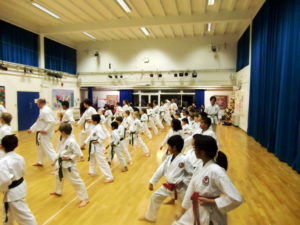 Bromley & South East London JKA Karate Club, Grading December 2017