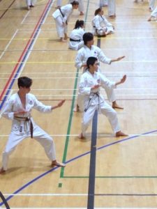 (Click to Enlarge) Patrick, Xin & William, practicing Empi during the JKAE Course, 6th January 2018, Guilford.