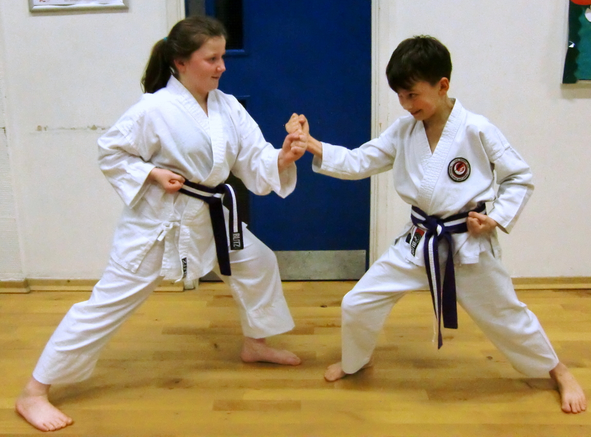 Bromley & South East London JKA Karate Club Special Training Session