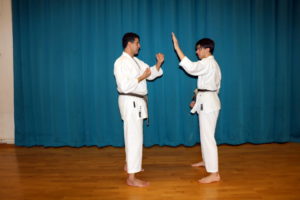 Sensei Adel & Sensei Patrick, Special Training Sessions at Bromley & South East London JKA Karate Club, March 2019