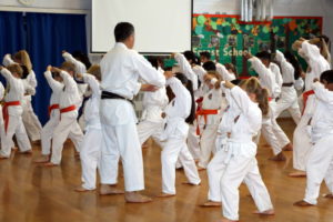 Bromley & South East London JKA Karate Club Summer Grading at Petts Wood Dojo, 19th July 2019!
