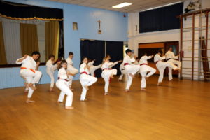 (Click to Enlarge) Karate classes for Adults & Children in Upper Norwood.