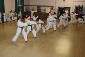 Bromley & South East London JKA Karate Club Christmas Hat Special Sessions, 2021!!!