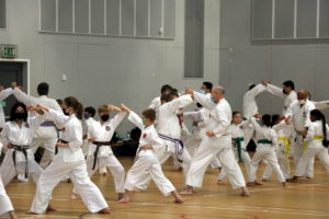 JKA England London & the South East Regional Course Hosted by Bromley & South East London JKA Karate Club on Sunday 9th January 2022!