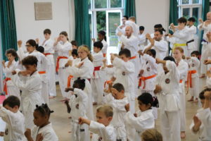 Bromley & South East London JKA Karate Club Successful Summer Grading, July 2023!